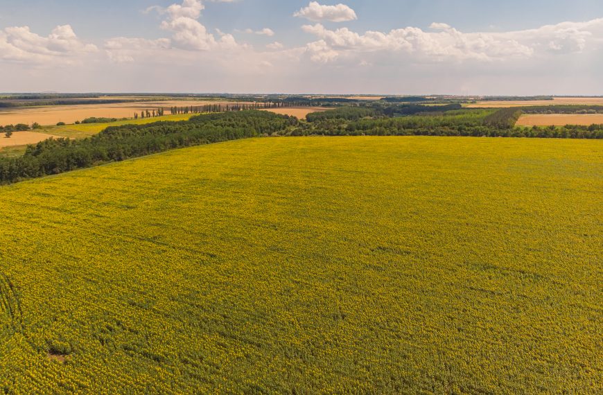Concepto de predio en la normativa de aguas